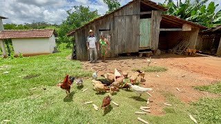 Ele escolheu Viver aqui no sítio e ainda Faz rapadura de vários sabores  jabuti Paraná… [upl. by Navonod344]