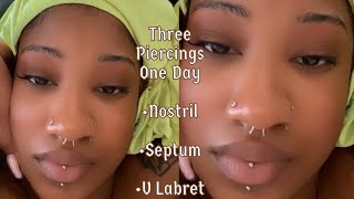 Three Piercings In One Day Nostril  Septum  Vertical Labret [upl. by Ailadi620]