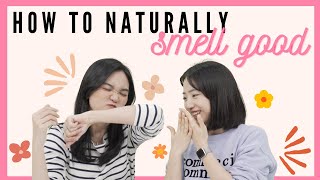 NATURAL BODY SCENT KOREAN BODY LOTIONS RECOMMENDATION😍 [upl. by Leima]