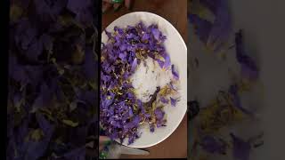 Making Organic Dried Blue Lotus Flower Herbal Tea amp Resin Review Nymphaea caerulea how to Buy link [upl. by Pippa]