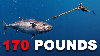 Spearfishing GIANT Dogtooth Tuna 90 ft Deep [upl. by Norab]