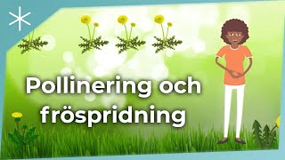 Pollinering och fröspridning [upl. by Sregor420]