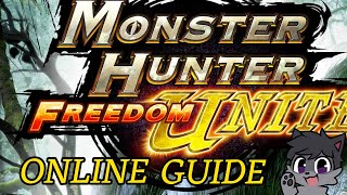 How To Play MHFU Online Radmin VPN Setup  Monster Hunter Freedom Unite [upl. by Lemar822]