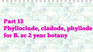 Part 15 Phylloclade cladode phyllode B sc 2 year botany [upl. by Ahsinnod430]