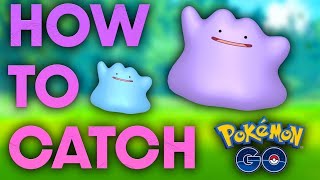 How to Catch Ditto in Pokémon GO AUGUST 2022 [upl. by Cal247]