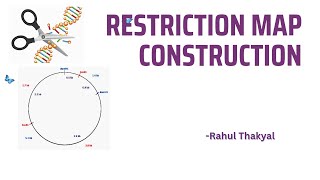 CONSTRUCTION OF RESTRICTION MAPS  ZOOLOGY  BIOTECHNOLOGY [upl. by Aisya791]