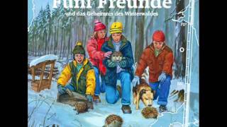 Die Fünf Freunde  Folge 93und das Geheimnis des Winterwaldes [upl. by Netty]