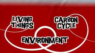 AQA GCSE BBC Bitesize  The Carbon Cycle [upl. by Mcconaghy]