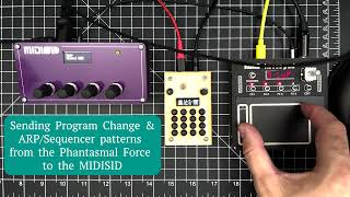 Phantasmal Force beta firmware  MIDISID  KORG NTS3 [upl. by Valora]