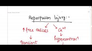 reperfusion injury  Pathology [upl. by Amaleta]