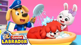 🔍Sheriff Labrador  Mi Mascota No Quiere Bañarse 🛁  Videos para Niños  BabyBus en Español [upl. by Bolt]