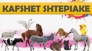 Kafshet shtepiake 👨‍🌾🐄 [upl. by Aneehc]