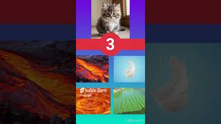 DO YOU HAVE HIGH IQ quiz hello funny genius cat facts quiztime smart challenge memes 1 [upl. by Riabuz]