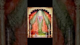 Ashapura maa Ni Aarti latest Ashapura maa status hindudeity short shorts [upl. by Ttiwed437]