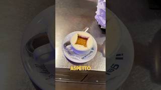 L’affogato al caffè più famoso del Mondo food [upl. by Ostler593]