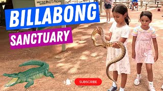 Billabong Sanctuary  Townsville [upl. by Adeuga]