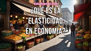 ¿Qué es la Elasticidad en Economía [upl. by Nilecoj]