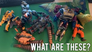 Toy Thrifting Finds  Transformers  Beast Wars Pokemon amp Dragon Ball Z toys [upl. by Ymeon26]