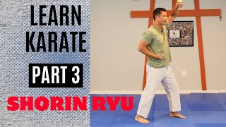 Martial Arts Tutorial  Shorin Ryu  Part 3 Fukyugata Ni Kata [upl. by Jemina766]