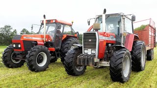 Vintage Grass Silage Day 2024  Lots of Great Tractors in The Field [upl. by Aivartal]