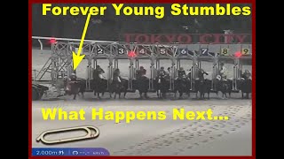 Stunning BAD START then this Happened Forever Young Breeders Cup Classic G1 Video Past Performances [upl. by Monti338]