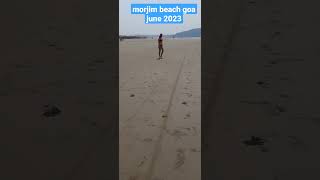 morjim beach goa june 2023goa2023 [upl. by Yeliab988]