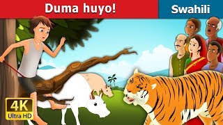 Duma huyo  There comes the Tiger in Swahili  Swahili Fairy Tales [upl. by Anneliese]