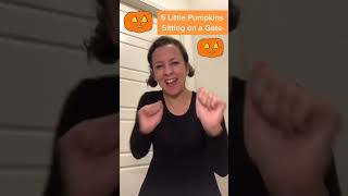 5 Little Pumpkin With Ms Rachel msrachel missrachel childrenssongs kids kidslearning kidssong [upl. by Yendirb]