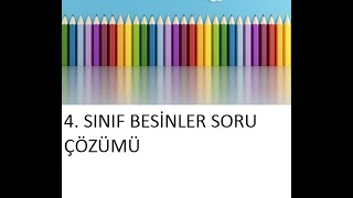 4 SINIF BESİNLER SORU ÇÖZÜMÜ [upl. by Bergstein]