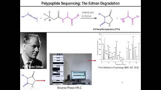 Lec11  Amino Acid Sequencing and the Edman Degradation [upl. by Anuaik]