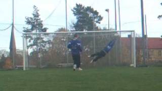 Greatest penalty save ever MUST CHECK OUT [upl. by Arved]