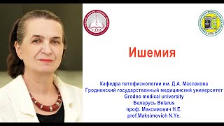 Ишемия Лекция Ischemia Lecture Professor Maksimovich NYe [upl. by Herschel]