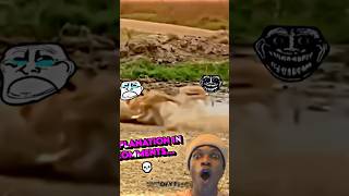 Reaction mango edits reaction respect mrbeast [upl. by Wanyen]