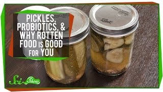 Pickles Probiotics and Why Rotten Food Is Good For You [upl. by Ecnirp419]