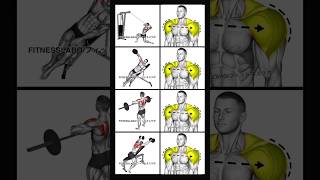 best shoulder workout routine with dumbbells [upl. by Eustis]