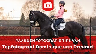 Paardenfotografie tips van Dominique van Dreumel  Zoomnl Fotografie Tips [upl. by Arva]