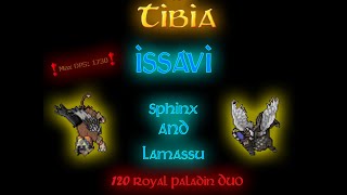 Tibia  Sphinx and Lamassu on Issavi 120 RP [upl. by Bascomb]