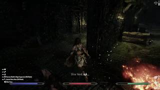 Skyrim Combat Mod Engarde against Silverhands [upl. by Kcinomod]