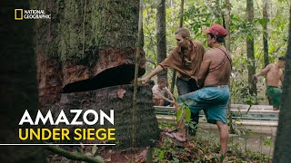 Amazon Under Siege  Trafficked with Mariana Van Zeller  हिंदी  Full Episode  S2  E17  Nat Geo [upl. by Airegin969]