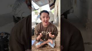 tiada apireaction cover coversong viral beranda masukberanda funny [upl. by Bohaty]