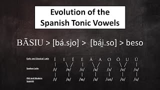 Evolution of Spanish from Latin Tonic Vowels [upl. by Atig]