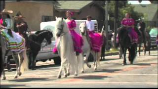 Andalusian Horse Garrido in the Mexican Independence Day Parade 92010 Part 1 [upl. by Nomrah]