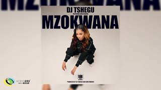 Dj Tshegu Ft Sims Noreng  Mzokwana Official Audio [upl. by Ainat]