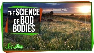 Chemistry amp Corpses The Science of Bog Bodies [upl. by Berkow]