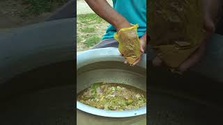 Masala Mixing with Beef to Cook Tehari villagevlog food ingredients beef teharirecipe [upl. by Ylrehc]