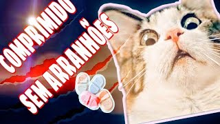 Como dar comprimido para gato  sem arranhões [upl. by Enom309]