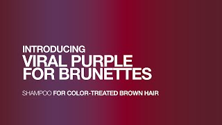 NEW Viral Purple Colorwash for Brown Hair [upl. by Soutor]