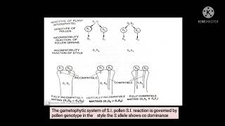 Multiple allelism self incompatibility in plants [upl. by Ejrog]