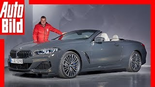 BMW 8er Cabrio G14 2019 Vorstellung  Sitzprobe  Review [upl. by Neva]