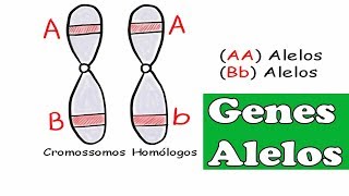 Genética conceptos y desarrollo histórico [upl. by Laucsap]